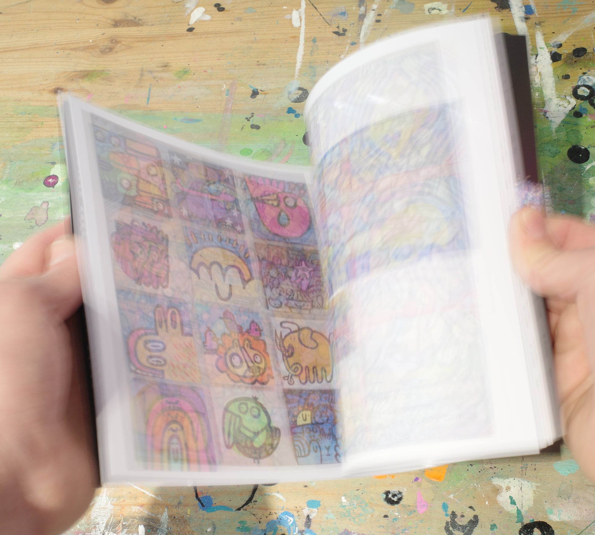 Playful Pigments - Exhibition Catalogue