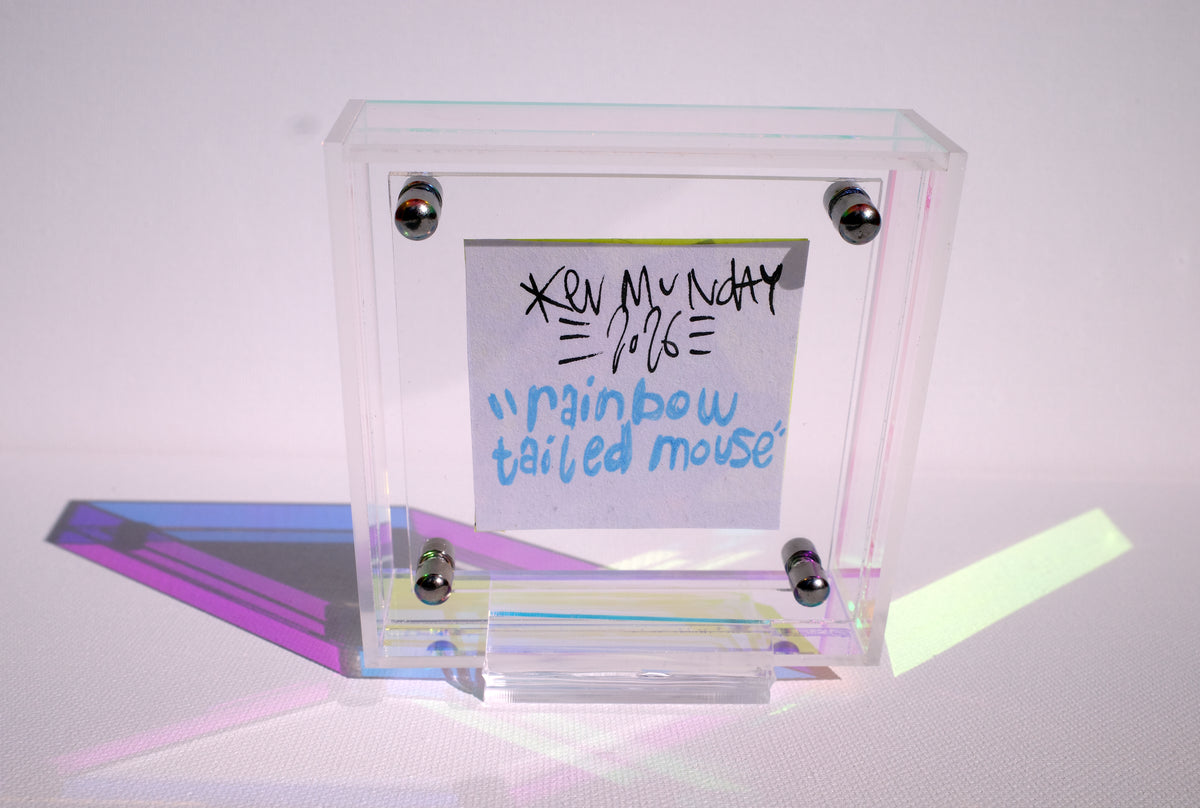 Rainbow Tailed Mouse - Framed Post-it Note