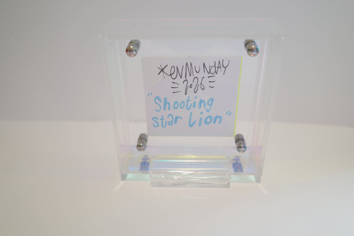 Shooting Star Lion - Framed Post-it Note